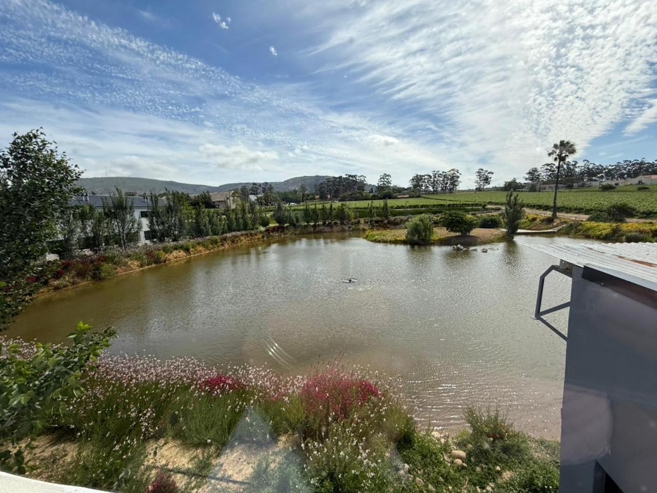 Middelplaas Paarl Guesthouse 외부 사진