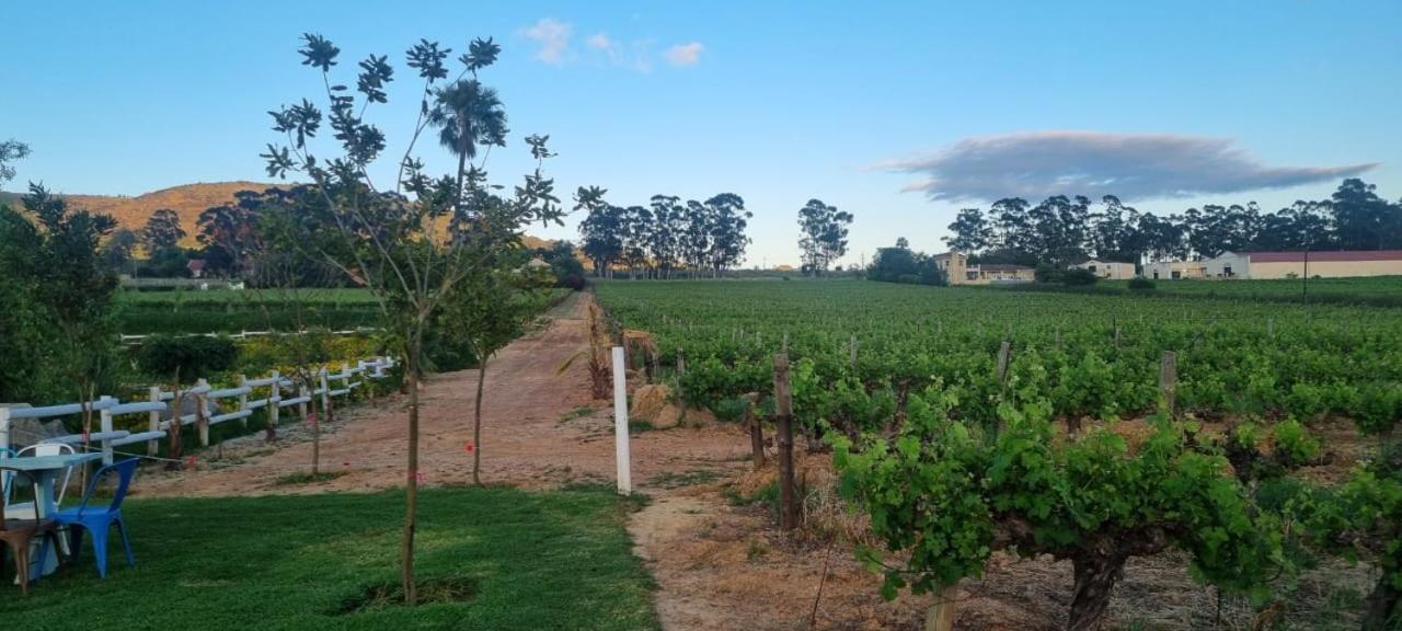 Middelplaas Paarl Guesthouse 외부 사진
